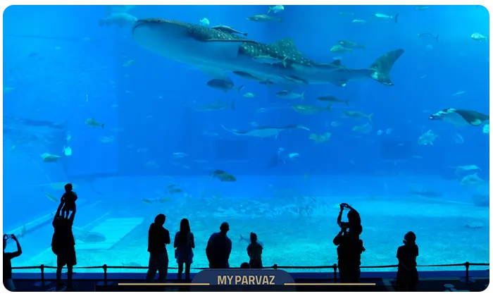 Churaumi Grand Aquarium, Japan